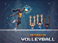 Netherton Volleyball image