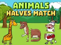 Animals Halves Match image