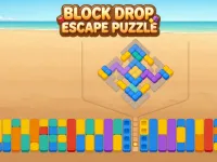 Block Drop Escape Puzzle image